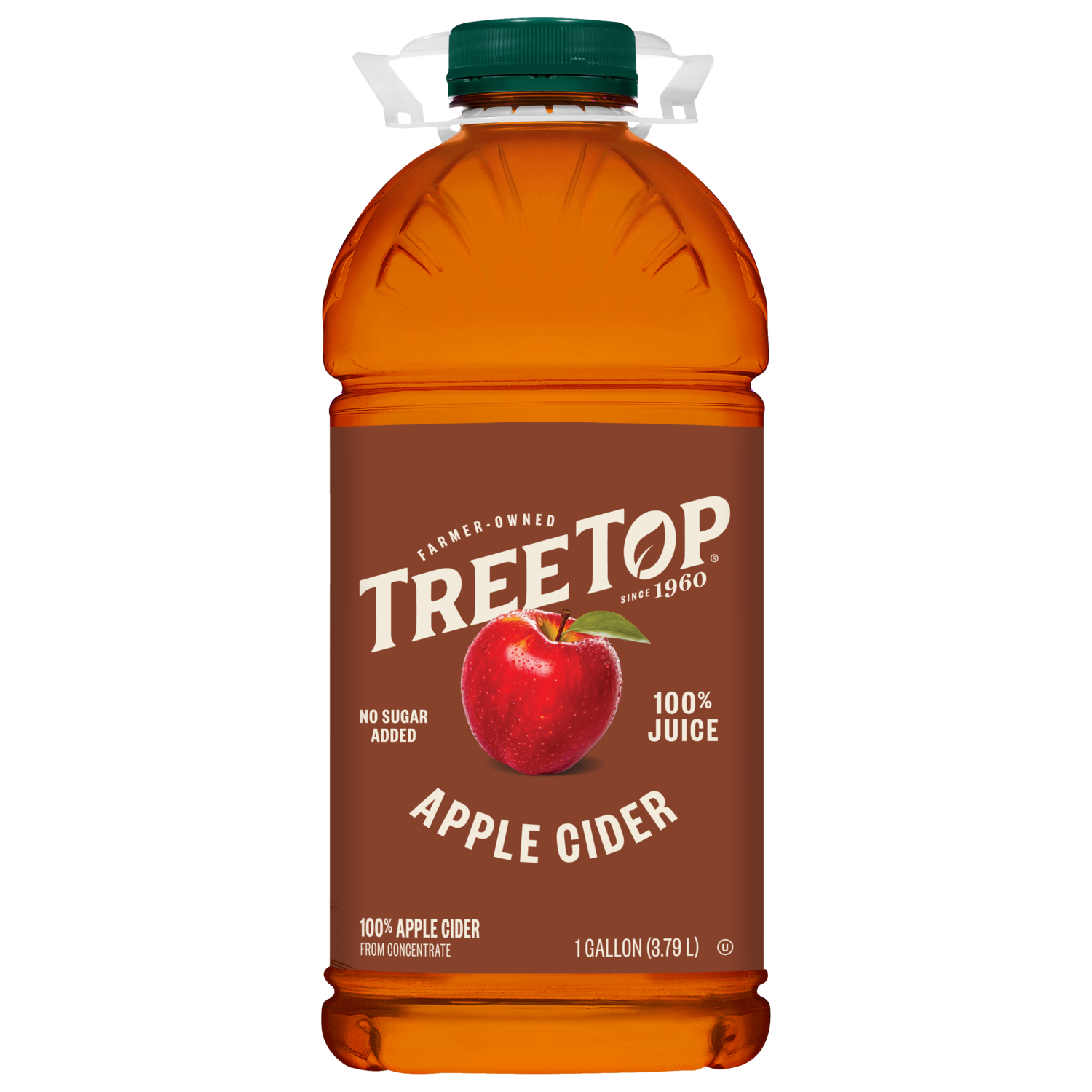 Tree Top Apple Cider, No sugar added, 100% Juice, 100% Apple Cider, 1 Gallon (3.79 L)